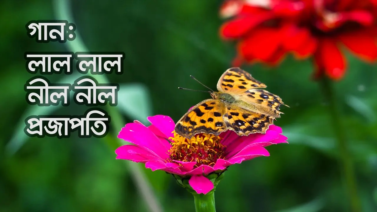 গান - লাল লাল নীল নীল || ‍Song - Lal Lal Nil Nil || প্রান্তি